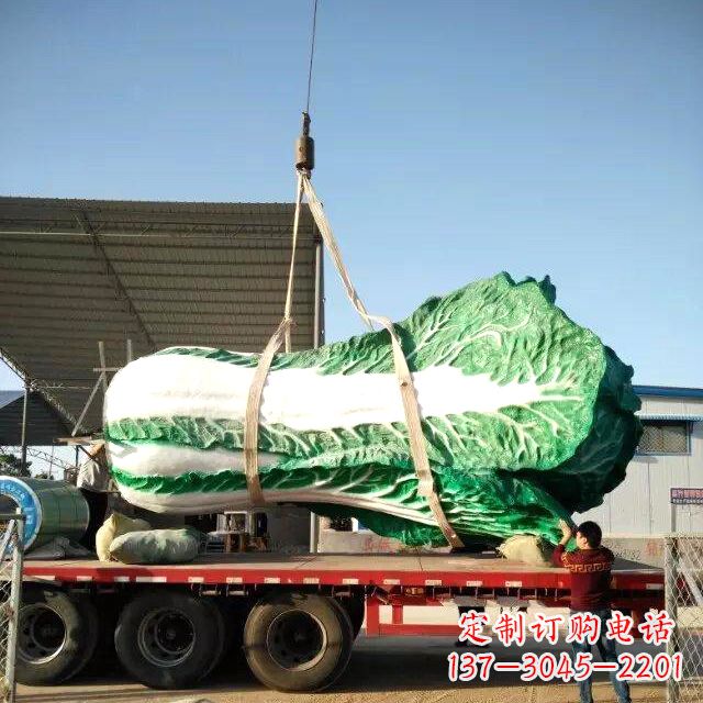 武汉白菜之美——给你一份独特的食材