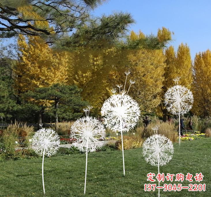 武汉不锈钢蒲公英景观雕塑艺术与美的完美结合