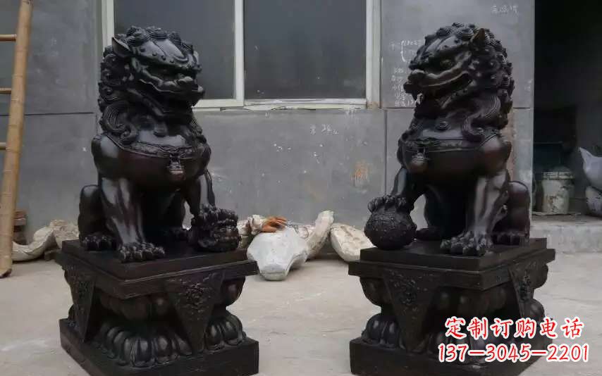 武汉踩球镇的狮子之家