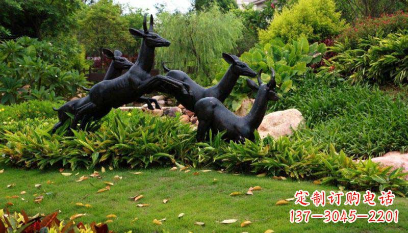 武汉活力无限的动物铜雕