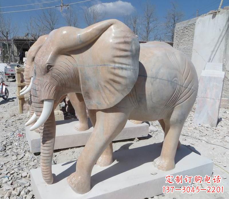 武汉晚霞红卷鼻大象